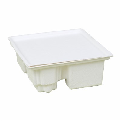 Άλλες συσκευασίες με χυτό πολτό ηλεκτρονικών